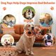 thumbnail image 5 of Juguete de peluche para perros Drmstow con cuerda, chirriador y papel arrugado, 5 of 7