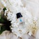 thumbnail image 5 of Aceite de perfume RawChemistry For Her con feromonas, 15 ml, 5 of 6