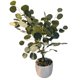 thumbnail image 1 of Planta Artificial 802, 1 of 1