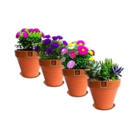 Mestiza - Set De 4 Maceta Kony 15Cm Terra Mandarina Y Sus Platos