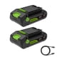 thumbnail image 1 of Batería Greenworks PowerAll 24 V 2 Ah USB-C Pack 2, 1 of 3