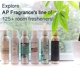 thumbnail image 4 of Ambientador en aerosol Belfair Oaks, concentrado de vainilla y cachemir, 4 of 8