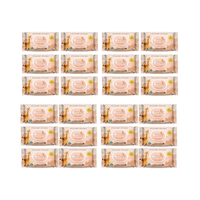 Pack 24 Paquetes Toallitas Humedas Babyclin Soft 1920 Unidades