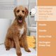 thumbnail image 5 of Champú para perros Hartz True Coat específico para pelo rizado u ondulado, 5 of 7