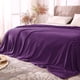 thumbnail image 1 of Manta polar BEDELITE tamaño king violeta para cama y sofá, 1 of 8