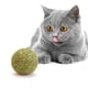 thumbnail image 1 of Bola Catnip Natural Wonder Cat, Tamaño XL 5cms, 1 of 3