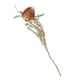 thumbnail image 1 of Adorno De Pastel De Flores Secas Bohemio, Accesorio De Ramo DIY Para El Hogar, Boda Al Aire Libre, 1 of 3