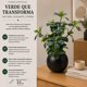 thumbnail image 5 of Planta Artificial Ficus Decorativa Maceta Decoracion Hogar verde, 5 of 9
