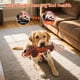 thumbnail image 3 of Juguete de peluche para perros Drmstow con cuerda, chirriador y papel arrugado, 3 of 7