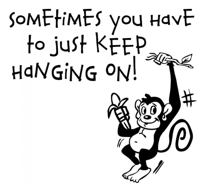 Rienda Libre Graphics - Decomural Keep Hanging On Ws-17723