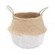 thumbnail image 1 of Canasto Fibras, 1 of 3
