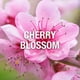 thumbnail image 3 of Perfume Giorgio Beverly Hills Red EDT 90 ml para mujer, 3 of 3