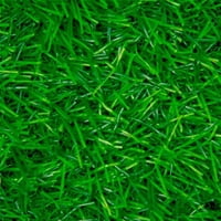 Winter - Pasto Sintético Prado G20 Mm 650 Grs - Rollo 7 X 4 Mt