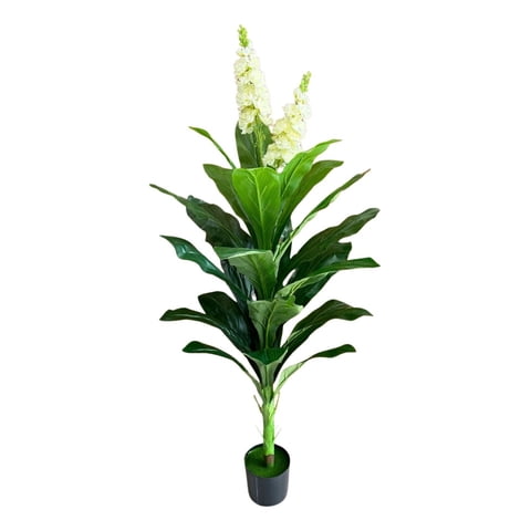Genérico - Planta Decorativa Artificial Belleza Natural Frescura Jhn