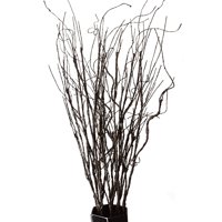 Ramas De Sauce Artificiales Feilix Realilike, 10 Unidades, 78 Cm, Decoración