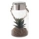 thumbnail image 1 of Planta Decorativa Fanal Suculenta Verde con Soga, 1 of 4