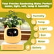 thumbnail image 4 of Maceta inteligente PLANTSIO de 80 ml con riego automático y pantalla, 4 of 9
