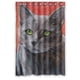 thumbnail image 1 of Cortina de ducha con diseño de gatos, juego de cortinas de baño con ganchos, tamaño 48 x 72 pulgadas, 1 of 3