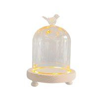 Magideal - Cúpula De Cristal Cúpula Cúpula Contenedor De Bricolaje Cubierta De Flores Estuche De Exhibición Estuche Nórdico Día De San Valentín Hogar Cúpula Tran 9X11Cm Pájaro