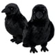 thumbnail image 1 of Peluche Cuervo Realista FestiGlow Negro 25 cm, 1 of 7