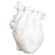 thumbnail image 1 of Jarrón De Corazón Anatómico Estatua De Resina Adorno De Maceta Blanco 15x10.5x21CM, 1 of 5