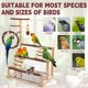 thumbnail image 5 of Kaliswell Parque de Juegos de Madera para Loros y Aves Pequeñas y Medianas, 5 of 7