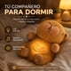 thumbnail image 5 of CAPIBARA DE RESPIRACIÓN RELAJANTE: EL ABRAZO QUE DEVUELVE LA PAZ A TU HOGAR, 5 of 7