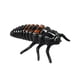 thumbnail image 3 of Kit de Cultivo Insect Lore Live Bebé Catarina Recambio, 3 of 3