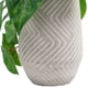 thumbnail image 3 of Taro En Macetero 21 Cm, 3 of 3
