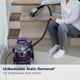 thumbnail image 3 of Limpiador de alfombras Bissell SpotClean Pet Pro 2458 Grapevine Purple, 3 of 3