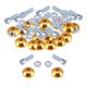 thumbnail image 3 of kit de tornillos de guardabarros de parachoques de marco de matrícula para automóviles dorado, 3 of 5