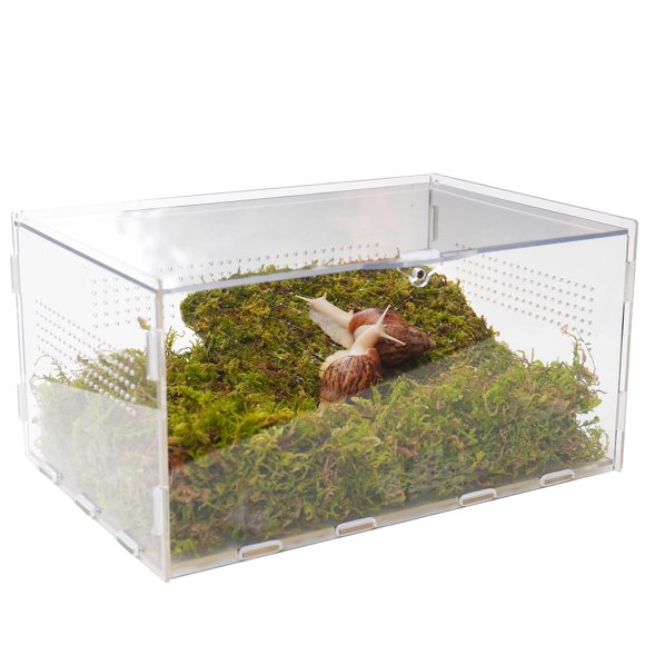 VIVARIUM Jinymral Kit para Caracoles 28,5 × 20 × 15 cm con Pared de Escalada