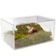 thumbnail image 1 of VIVARIUM Jinymral Kit para Caracoles 28,5 × 20 × 15 cm con Pared de Escalada, 1 of 5