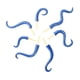 thumbnail image 5 of 7 Tentáculos De Pulpo De Monstruo Marino Para Ramo De Flores, Cerca De Jardín, Color Azul, 5 of 5