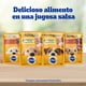 thumbnail image 5 of Alimento Húmedo Perro Senior Sabor Carne Pouch, 100 g, 5 of 9