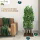 thumbnail image 2 of Árbol para gatos PRIORPET con hojas, 63 cm de altura, 4 niveles para rascar, 2 of 9