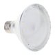 thumbnail image 2 of IP65 LED Dimmable Par30 Bombilla Frío Blanco 220-230V, 2 of 5