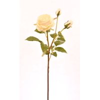 Vadell - Rosa Blanca 59 Cm