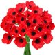 thumbnail image 1 of Xiao Hua Tallo de Amapola artificial PU Tacto real Imitación Flor de Amapola Loto Plateado Flor Falsa Adecuada para Ramos de Boda, Decoración de Flores para Jardín Del Hogar, Rojo, 16 Piezas, 1 of 4