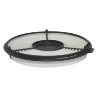 Repuestos Del Sol - Filtro Aire Suzuki Maruti Ii 0.8 1999 2009