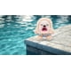 thumbnail image 2 of Peluche Fuggler Vacay Vibes Hedge Grog Cream de ZURU, 2 of 3