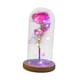 thumbnail image 3 of Flores Eternas Decoración De Flores Hogar De Mesa En Cúpula Redonda Con Luces De Hadas Rosa, 3 of 3