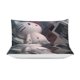 thumbnail image 3 of Hello Kitty 3-Piece Twin Bed Set - Includes 1 Single Comforter And 2 Pillowcases Bedding - Fade Resistant Microfiber - Hello Kitty, 3 of 4