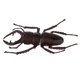thumbnail image 4 of Figura De Animal De Plástico Realista Modelo De Juguete Figura De Error Juguetes Gusano De Arena Alta, 4 of 5