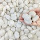 thumbnail image 1 of Guijarros FANTIAN 0.9 kg Blanco 2‑3 cm – Piedras decorativas, 1 of 9