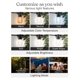 thumbnail image 5 of Guirnalda de luces solares Brightech Ambience Pro, 15 LED, 14,5 m, 5 of 9