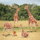 thumbnail image 3 of Figuras de animales Toymany Giraffe Family, 4 unidades para niños a partir de 3 años, 3 of 3