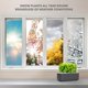 thumbnail image 5 of Kit de huerto de hierbas de interior Click and Grow con luz LED, 5 of 9