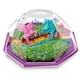thumbnail image 4 of Crea Terrario Unicornios (no contiene semillas ni compost), 4 of 4