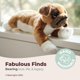 thumbnail image 3 of Peluche de peluche Bearington Roscoe Boxer Dog 38 cm, 3 of 6